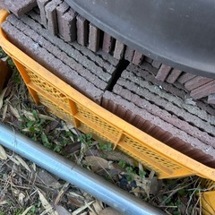 早い者勝ち　廃材の画像