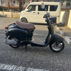 超加速ビーノ🦋他在庫多数飛込見学大歓迎の画像