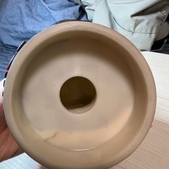 USJ ジュラシックパーク 恐竜 T-Rex バストの画像