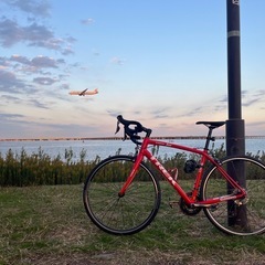 TREK 2017年モデル DOMANE ALR ロードバイクの画像