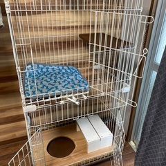 「決定」猫リュック　猫ゲージ　キャットゲージ　猫トイレの画像