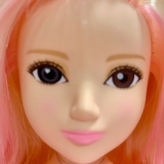 ヘアメイクアーティスト スタイルブック ドールセット の画像