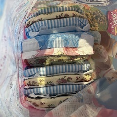 ペット用オムツ中型犬用の画像