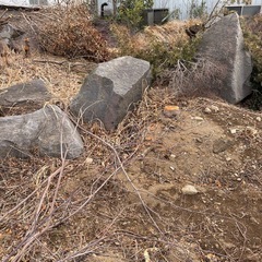 小枝•庭石の画像