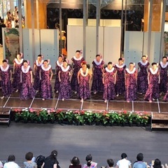 体験無料フラダンス　タヒチアンダンスも選べますの画像