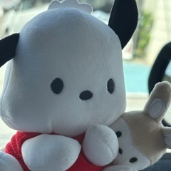 サンリオ ポチャッコグッズ  買わせてください🙇‍♀️