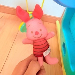 プーメリーの画像