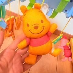 プーメリーの画像