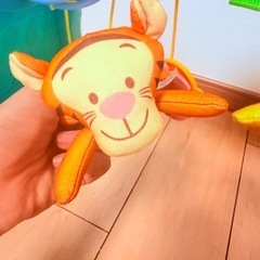 プーメリーの画像