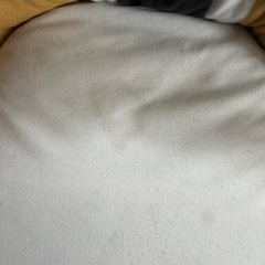 デール ビッグクッションの画像