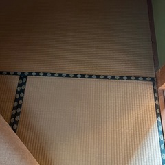 畳　(縦175㎝×横85㎝) 　28枚の画像