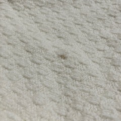 アルページュストーリー　ツイードニット　ホワイトの画像