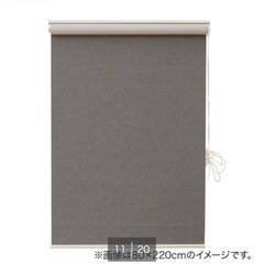 ニトリ ロールカーテンの画像