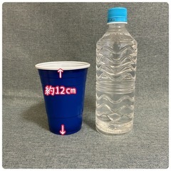 ※フリマ開催中※プラカップ（大)10個セットの画像