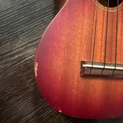 ウクレレの画像