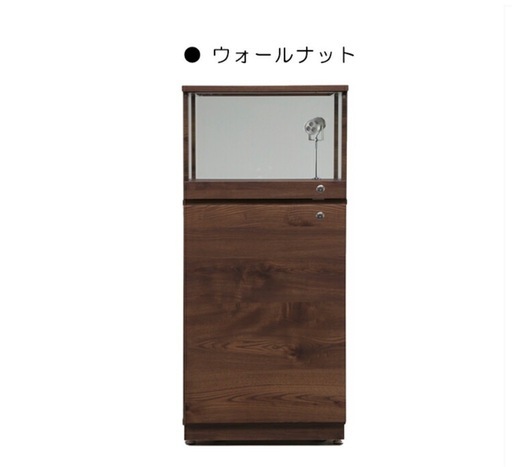 ショーケース

