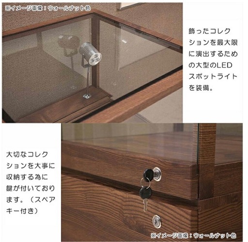 ショーケース

