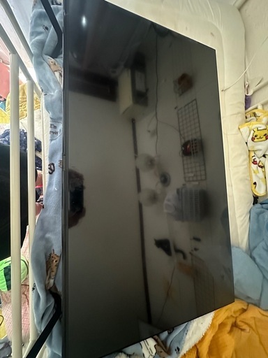 テレビ グリーンハウス50インチ