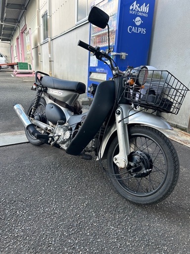 リトルカブ