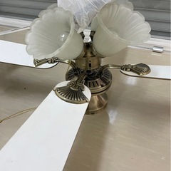 シーリングファンライトの画像