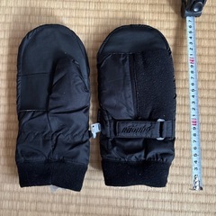 差し上げます　スキーミトン 大人用の画像