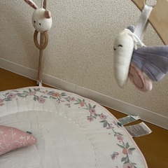 ベビージム　aden + anais エイデンアンドアネイエッセンシャルズの画像