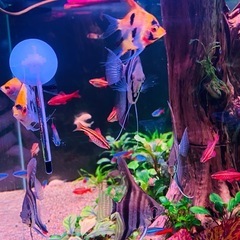 水槽フルセットの画像