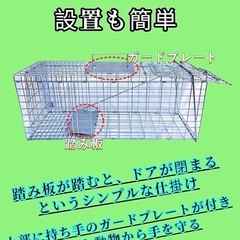 【決まりました】捕獲機Sサイズの画像