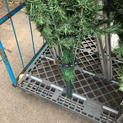 【差し上げます】イベントグッズ一式【引き取り来れる方】の画像