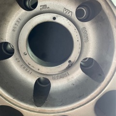 BBS 明日引き取り希望🌈の画像