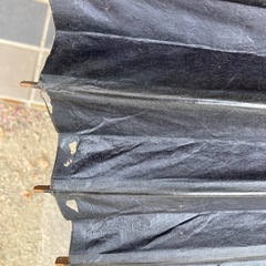 蛇の目かさの画像