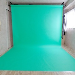 【背景紙・バック紙】 BPS-2711 [No.55 アルパイン 2.72x11m]の画像