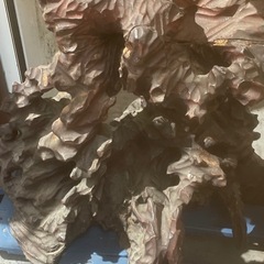 《お値段相談可能》鷹　鷲　鳥　置物　オブジェ　約220cm×180cmの画像