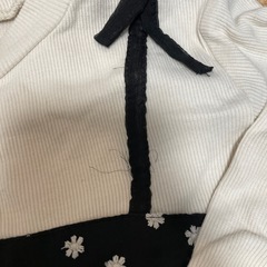 プチマイン　120 ワンピースの画像