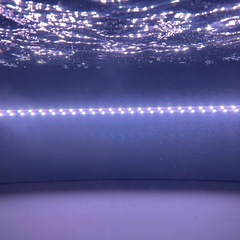 MAYNライト　super color3plus 紅龍用
水中ライト馬印の画像