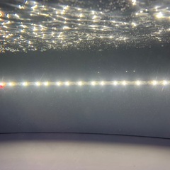 MAYNライト　super color3plus 紅龍用
水中ライト馬印の画像