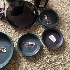 植木鉢、他の画像