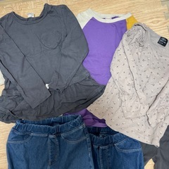 120プチマイントップスの画像