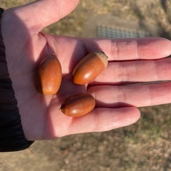 保険のこと