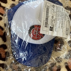 激レア！dead Kennedysメッシュキャップブルーの画像