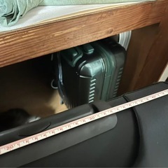 超デカ スーツケースの画像