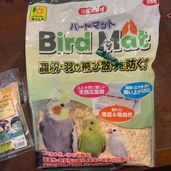 雛鳥の飼育　余りの画像