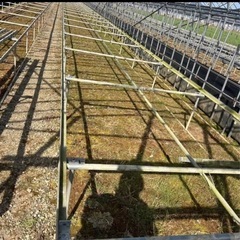 植物栽培用ベンチ（棚台）30m × 2列セットの画像