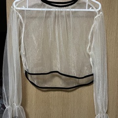 【新品未使用】シアーロングトップスの画像