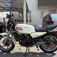 RZ250の画像