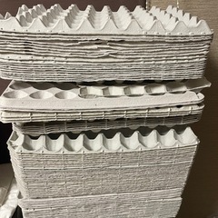 たまご紙とれー 1枚20円の画像