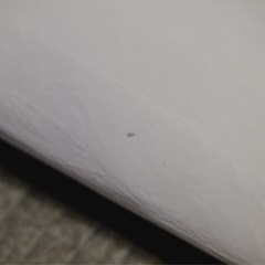 無印ソファ　２．５シーター・フェザー・ポケットコイル・ハイバックタイプの画像