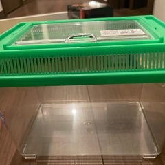 虫のフィギュア、虫かご、パズルなどの画像