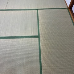 取引者決定⭐️畳6枚　美品の画像