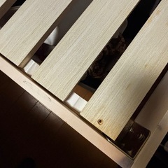 【決定】スノコベッド　シングルベッド　　の画像